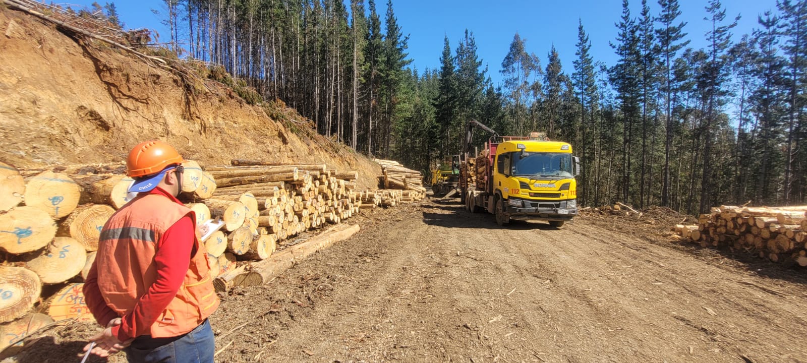 Operacion forestal de Transportes Parra e Hijos 6