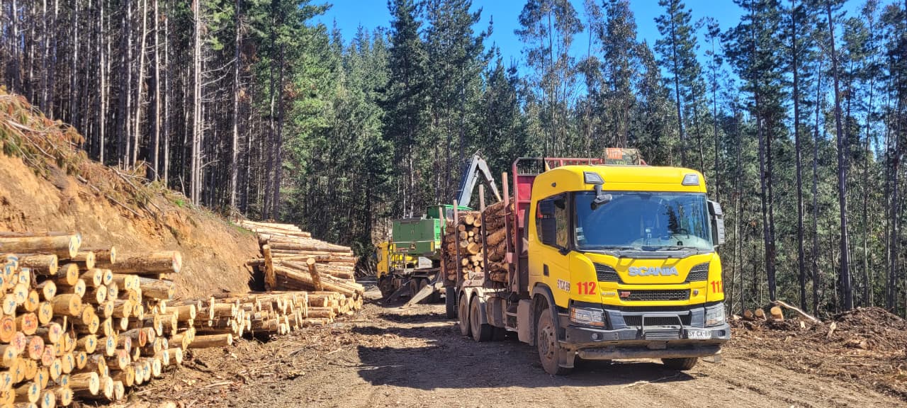 Transporte forestal de Parra e Hijos en faena 7