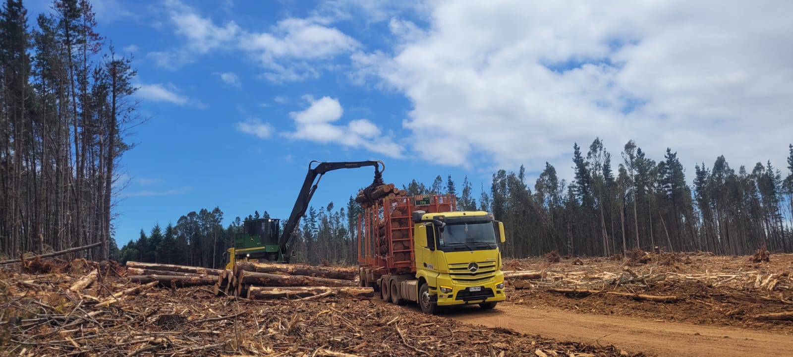 Transporte forestal de Parra e Hijos en faena 3