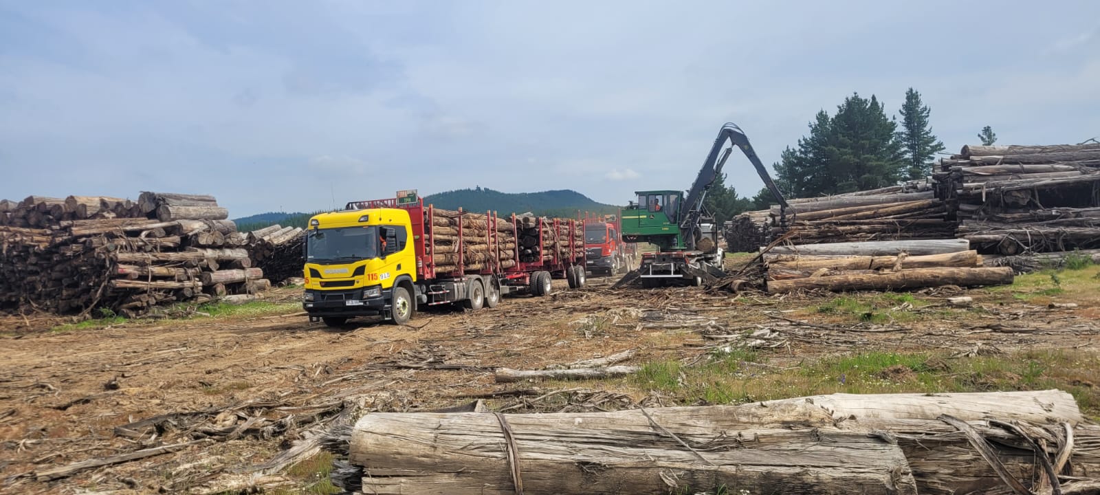 Operacion forestal de Transportes Parra e Hijos 4